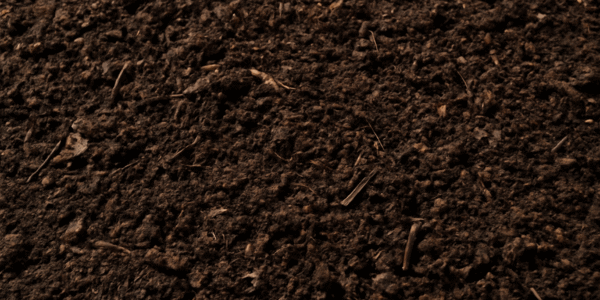 organic compost organic compost