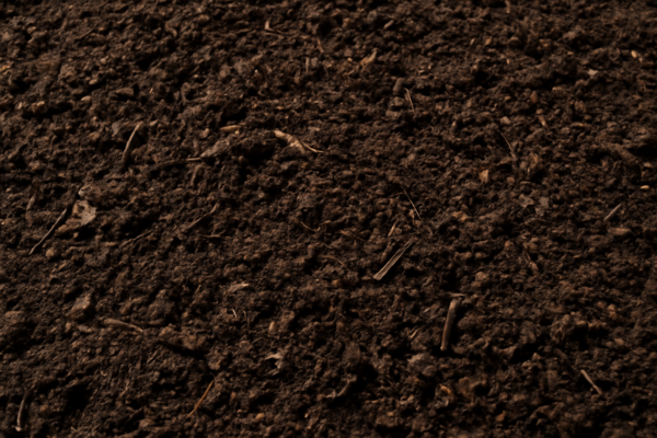 organic compost organic compost