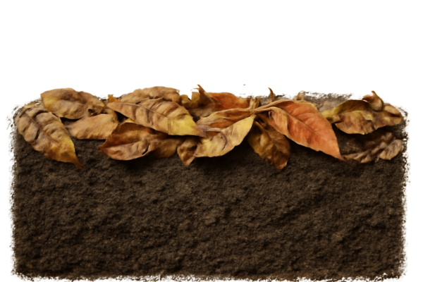 mulch for your garden Mulch for your garden