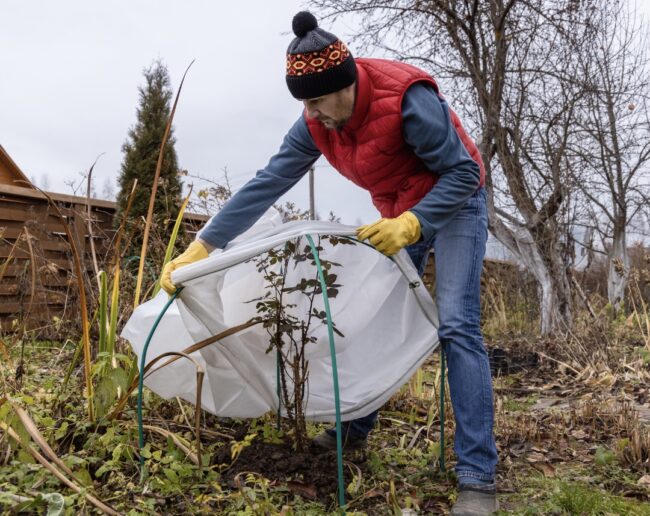 Winter Landscape Materials Guide Winter Landscape Materials Guide